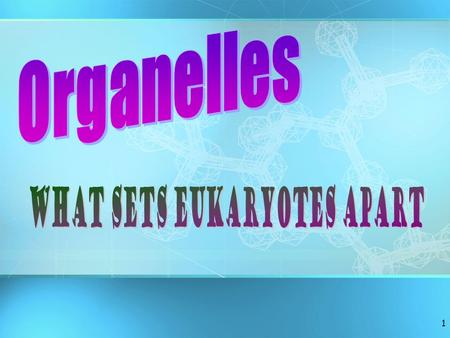 1 2 Organelles Very small size Can only be observed under a microscope Have specific functions Found throughout cytoplasm.