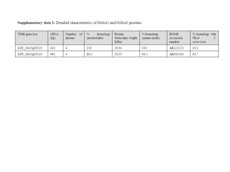 TIGR gene locicDNA (bp) Number of introns % homology (nucleotides) Protein Molecular weight (kDa) % homology (amino acids) KOME Accession number % homology.