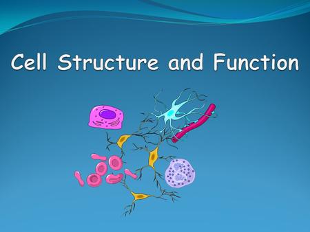 Cell Structure and Function