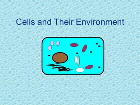 Cells and Their Environment. Structure of the Plasma Membrane lThe plasma membrane (cell membrane) is made of two groups of organic molecules-- phospholipids.