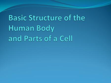 Basic Structure of the Human Body and Parts of a Cell