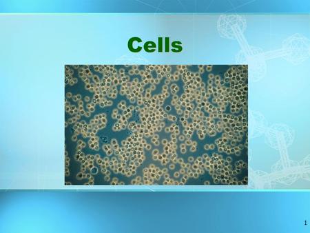 1 Cells Life Processes Eating Drinking Excreting waste (urinating, defacating, sweating, exhaling…) Making babies Respirating Birth, Growth, Death.