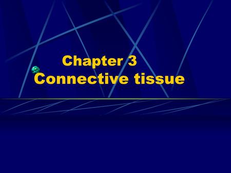 Chapter 3 Connective tissue