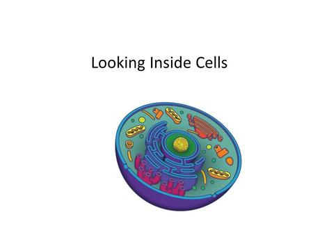 Looking Inside Cells.