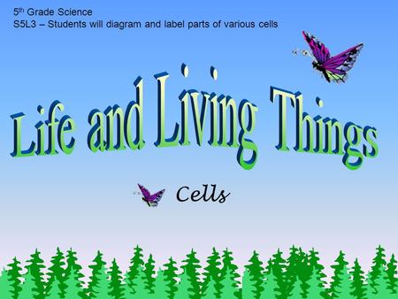 Cells 5 th Grade Science S5L3 – Students will diagram and label parts of various cells.