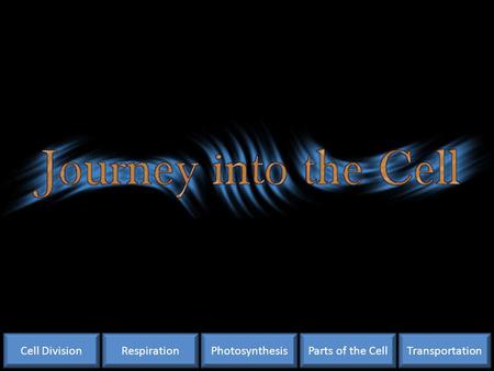 Cell Division Respiration Photosynthesis Parts of the Cell