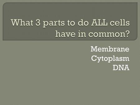 What 3 parts to do ALL cells have in common?