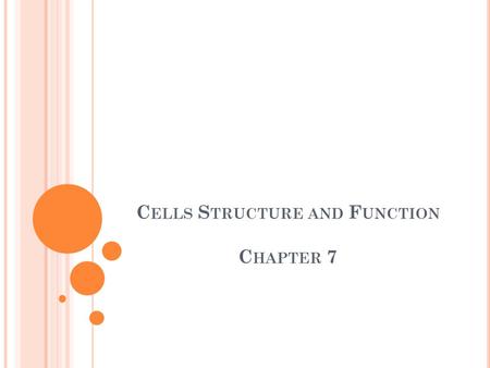 Cells Structure and Function Chapter 7