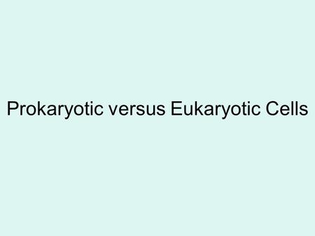 Prokaryotic versus Eukaryotic Cells