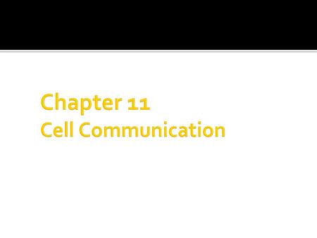  Regulation - cells need to control cellular processes.  Environmental Stimuli - cells need to be able to respond to signals from their environment.