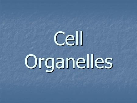 Cell Organelles.