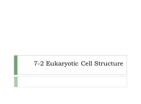 7-2 Eukaryotic Cell Structure