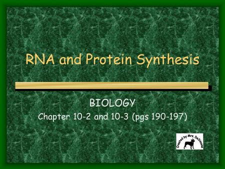 RNA and Protein Synthesis