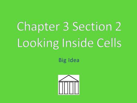 Big Idea. How does a school work? Science Standard 7.1.b: Students know the characteristics that distinguish plant cells from animal cells, including.