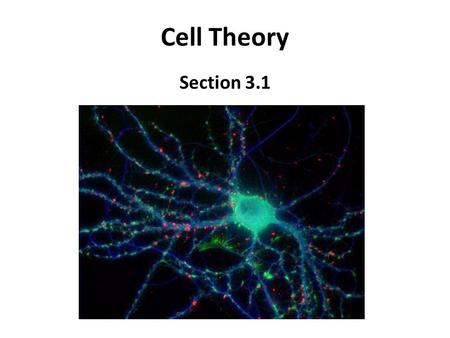 Cell Theory Section 3.1.