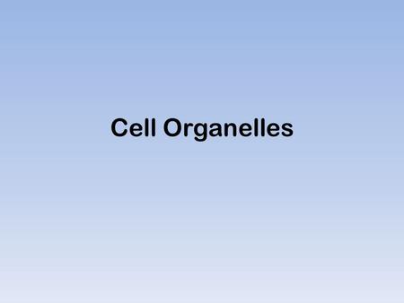 Cell Organelles.