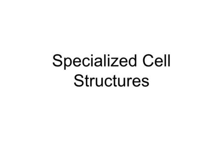 Specialized Cell Structures