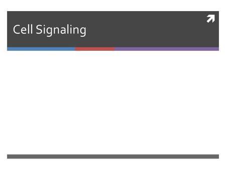 Cell Signaling.