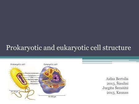 Prokaryotic and eukaryotic cell structure Aidas Bertulis 2013, Šiauliai Jurgita Šerniūtė 2013, Kaunas.