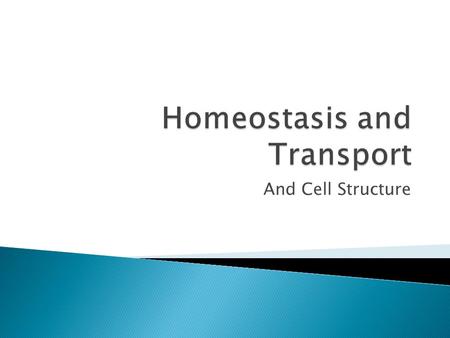 Homeostasis and Transport