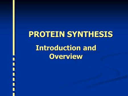 PROTEIN SYNTHESIS PROTEIN SYNTHESIS Introduction and Overview.