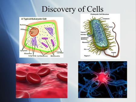 Discovery of Cells. People  1660- Robert Hooke invented the microscope;  1665-he looked at a piece of cork and noticed it was made up of little boxes.