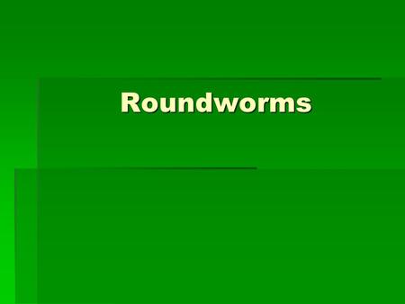 Roundworms. Phylum Nematoda 1.Nematodes: roundworms 2.Nemata- “ thread” 3.Bilateral symmetry 4.Tube within a tube structure-mouth and anus 5.3 germ layers.