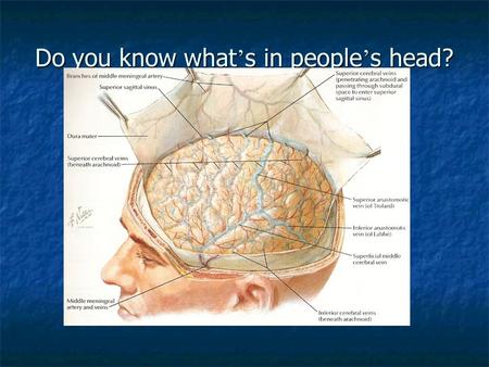 Do you know what ’ s in people ’ s head?. Brain tumors 72 male 72 male HPI: presents to E.R. with history of confusion, change of personality, left sided.