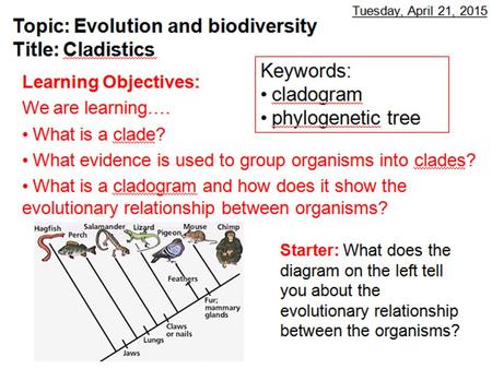 The universality of DNA and protein structures Despite the incredible complexity of life, the building components of living organisms are not only simple.