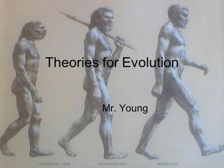 Theories for Evolution Mr. Young. Evolution The process of change within a living system over a period of time Genotype changes vs. Phenotype changes.