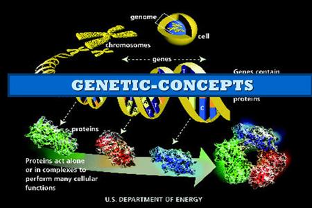 GENETIC-CONCEPTS.