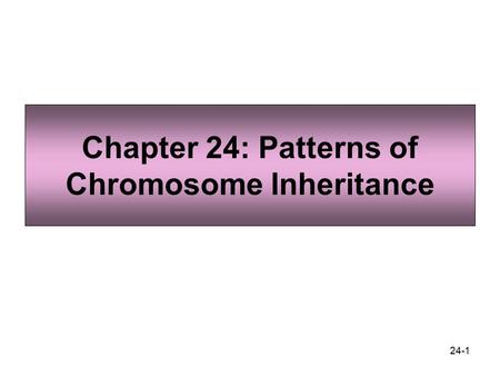 Chapter 24: Patterns of Chromosome Inheritance