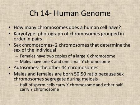 Ch 14- Human Genome How many chromosomes does a human cell have?