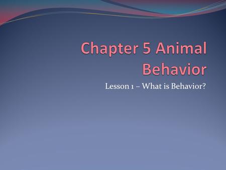 Chapter 5 Animal Behavior