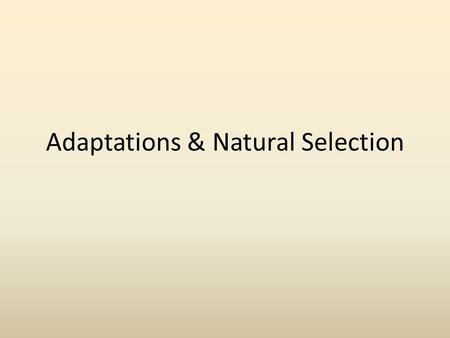 Adaptations & Natural Selection. NICHE A habitat supplying factors necessary for existence of an organism and its ecological role in regard to food consumption.