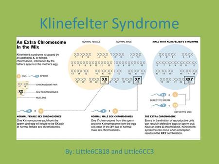 By: Little6CB18 and Little6CC3