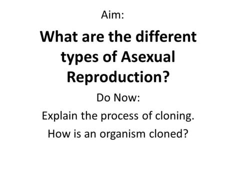 What are the different types of Asexual Reproduction?