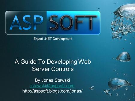 Expert.NET Development A Guide To Developing Web Server Controls By Jonas Stawski