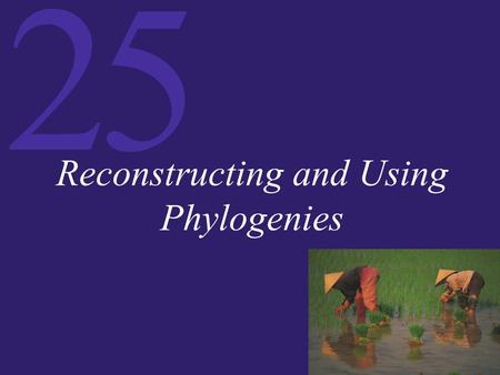 Reconstructing and Using Phylogenies