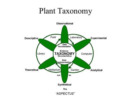 Plant Taxonomy. Taxonomic Systems Predicitivity - Ideally our systems of classification should allow us to place similar species of plants together in.