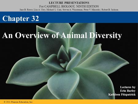 An Overview of Animal Diversity