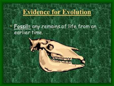 Evidence for Evolution