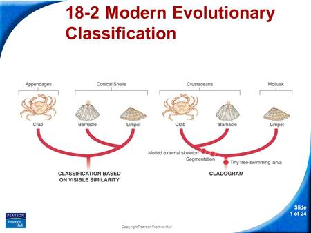 18-2 Modern Evolutionary Classification