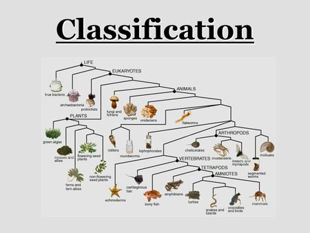 Classification.