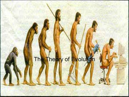 The Theory of Evolution