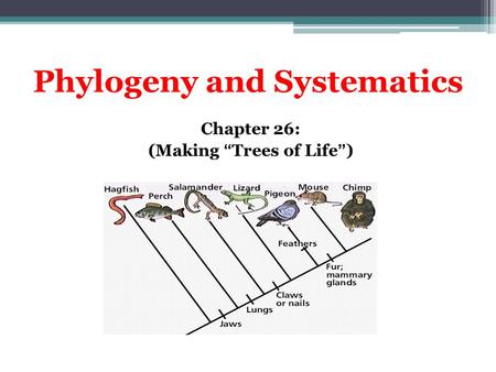 Phylogeny and Systematics