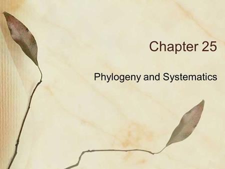 Chapter 25 Phylogeny and Systematics. The Fossil Record The fossil record is an incomplete chronicle of evolutionary time and change. Most species that.