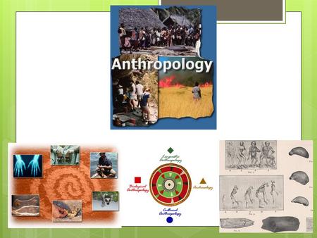 What is Anthropology? Anthropology is the broad study of humankind around the world and throughout time. It is concerned with both the biological and.