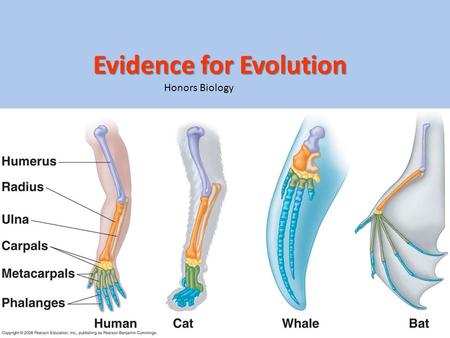 Evidence for Evolution