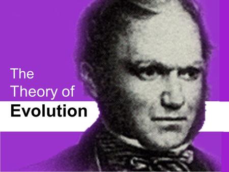 The Theory of Evolution